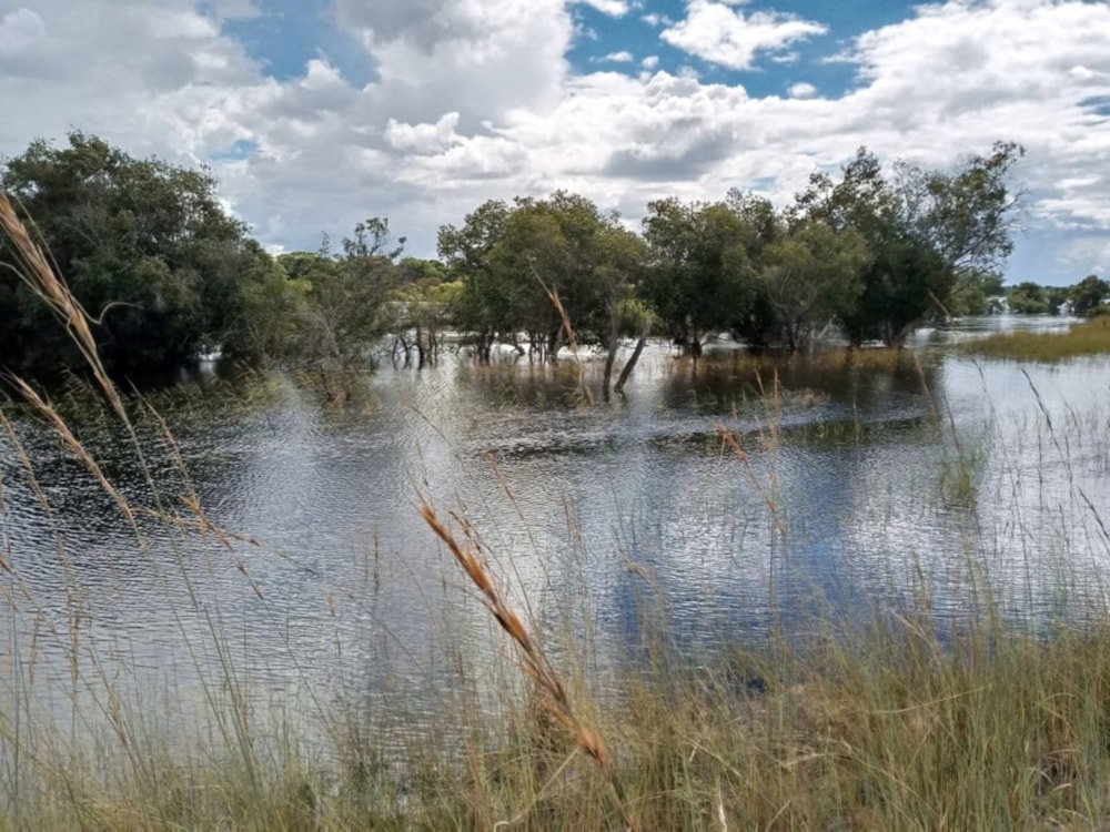 Mixed use farm for sale in North Western Province, Zambia - 3ZA1671235