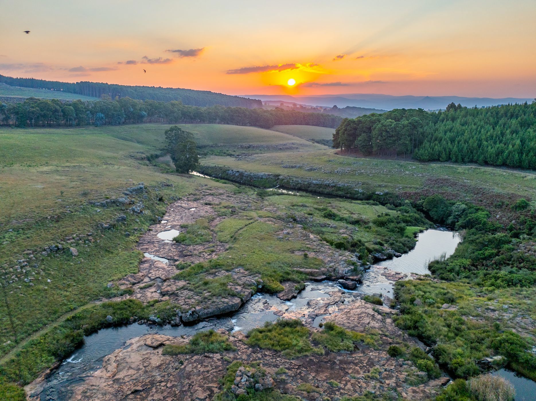 Aquaculture farm for sale in Lydenburg Rural (Mashishing Rural)  - 1LY1671411