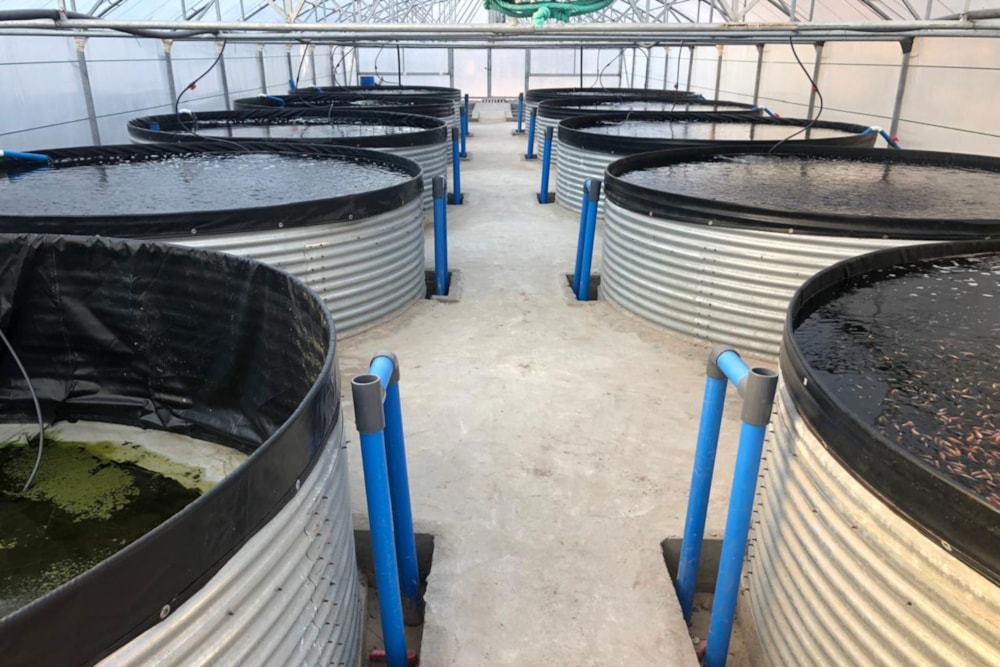 Aquaculture farm for sale in Inharrime, Mozambique - 3MQ1671414