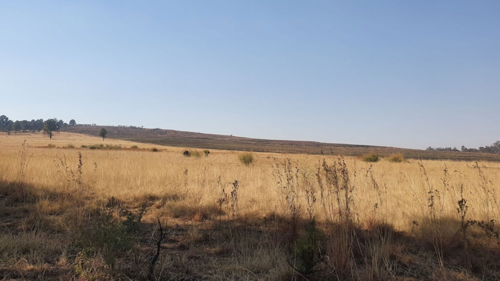 Lifestyle property for sale in Walker Fruit Farms - 1VT1671782