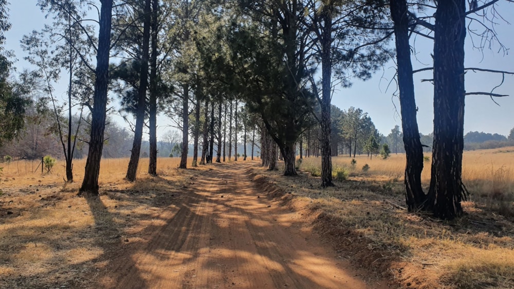 Lifestyle property for sale in Walker Fruit Farms - 1VT1671782