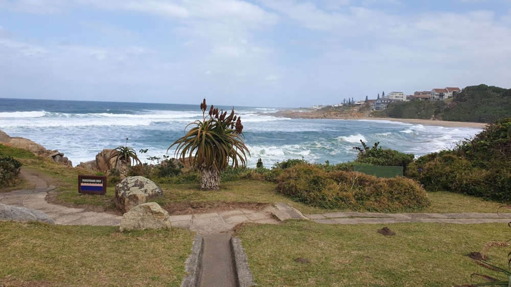 Apartment for sale in Ramsgate - 1PD1671480 Apartment for sale in Ramsgate - 1PD1671480