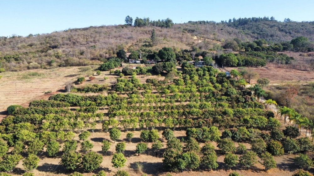 Vacant land for sale in Lushof A H - 1TA1671614