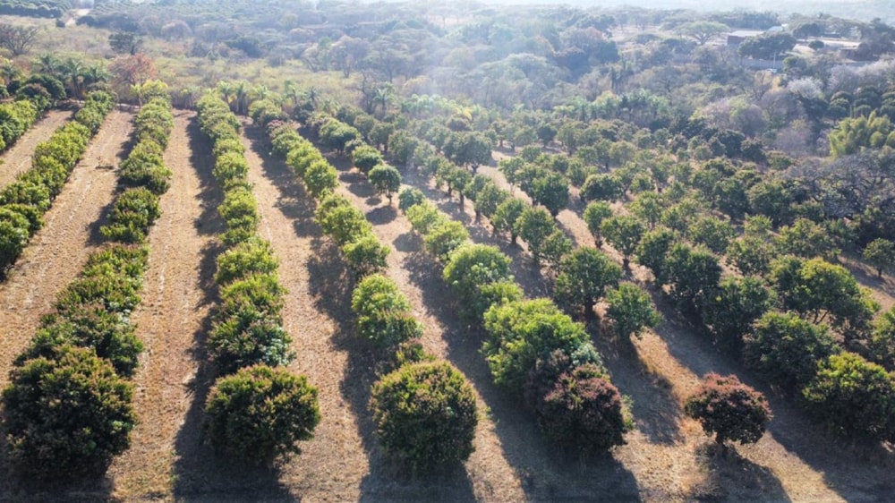 Vacant land for sale in Lushof A H - 1TA1671614