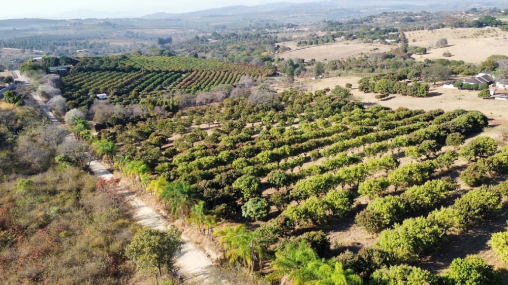 Vacant land for sale in Lushof A H - 1TA1671614