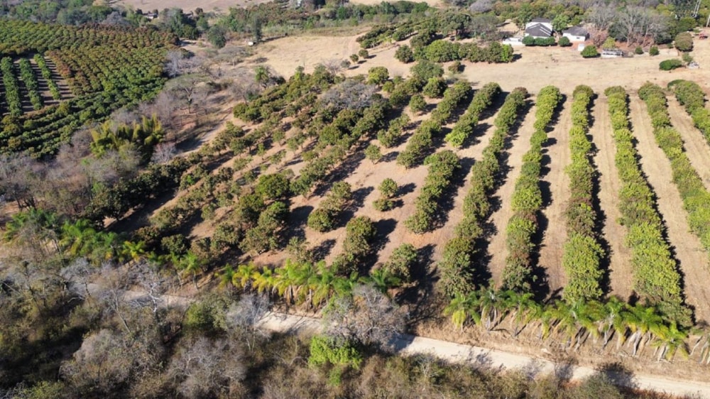 Vacant land for sale in Lushof A H - 1TA1671614