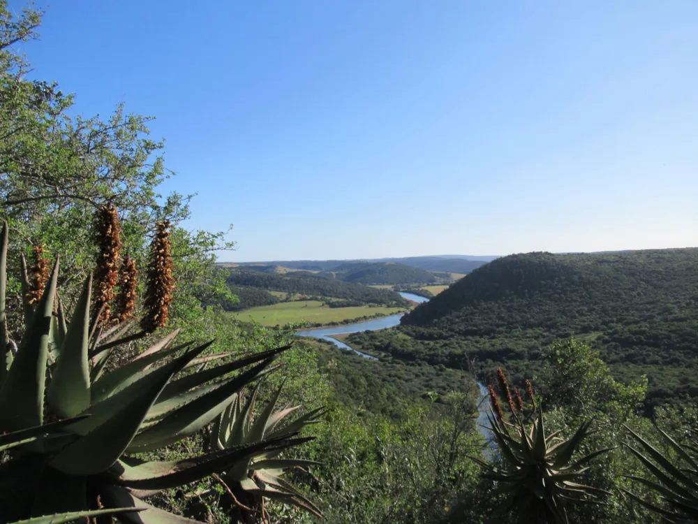 Game farm for sale in Port Alfred - 1PF1226359
