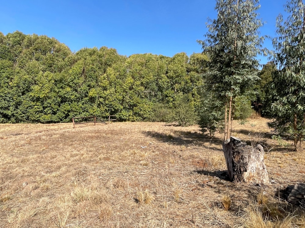 Residential vacant land sold in Underberg - 1UB1656815 Residential vacant land sold in Underberg - 1UB1656815