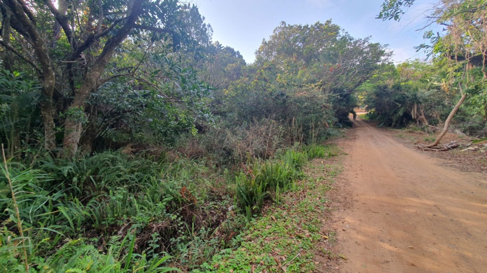 Residential vacant land for sale in Leisure Bay - 1PD1026914 Residential vacant land for sale in Leisure Bay - 1PD1026914