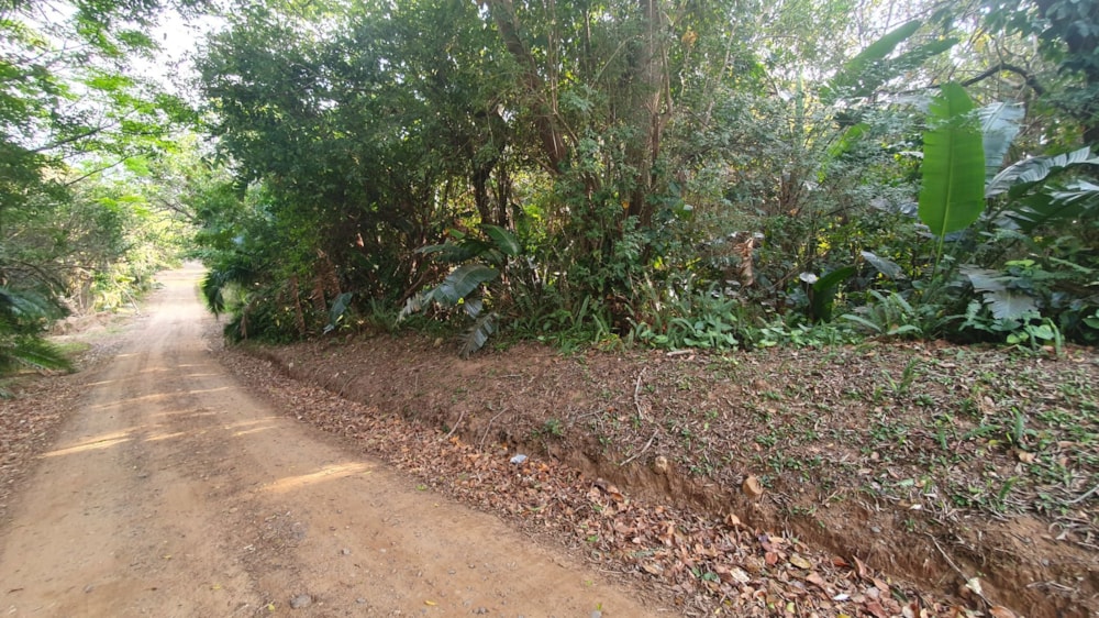 Residential vacant land for sale in Leisure Bay - 1PD1026914 Residential vacant land for sale in Leisure Bay - 1PD1026914