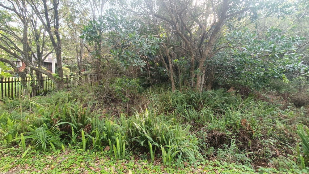 Residential vacant land for sale in Leisure Bay - 1PD1026914 Residential vacant land for sale in Leisure Bay - 1PD1026914