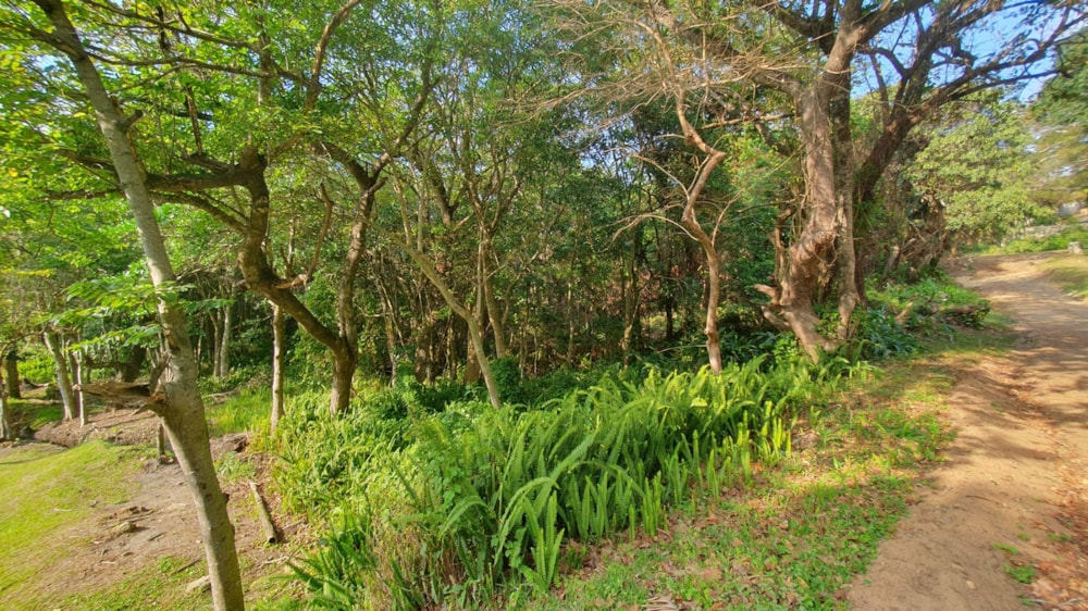 Residential vacant land for sale in Leisure Bay - 1PD1027093 Residential vacant land for sale in Leisure Bay - 1PD1027093