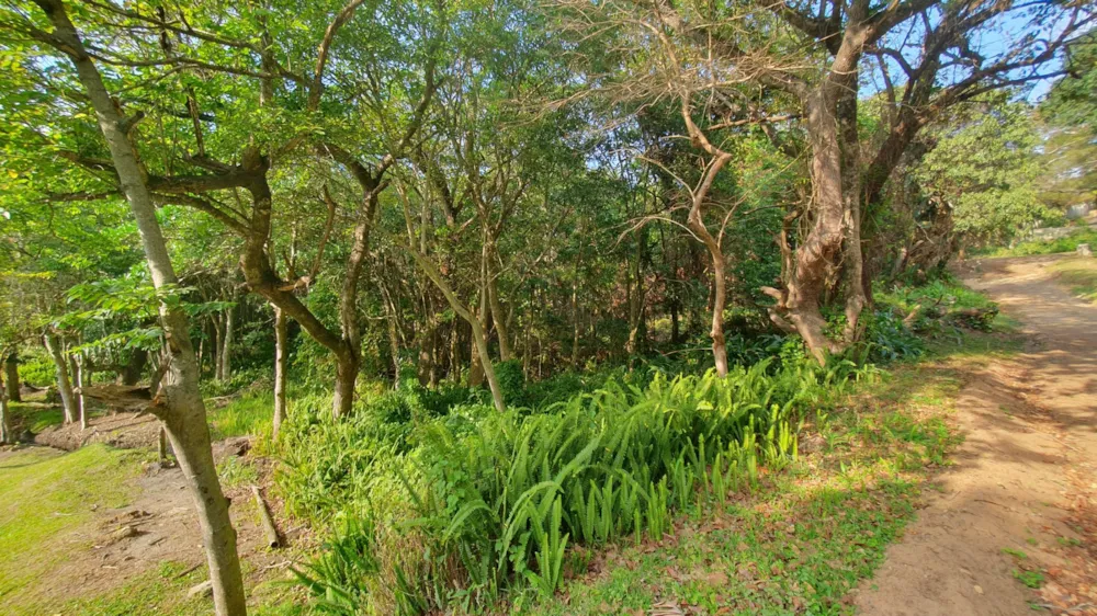 Residential vacant land for sale in Leisure Bay - 1PD1027093 Residential vacant land for sale in Leisure Bay - 1PD1027093