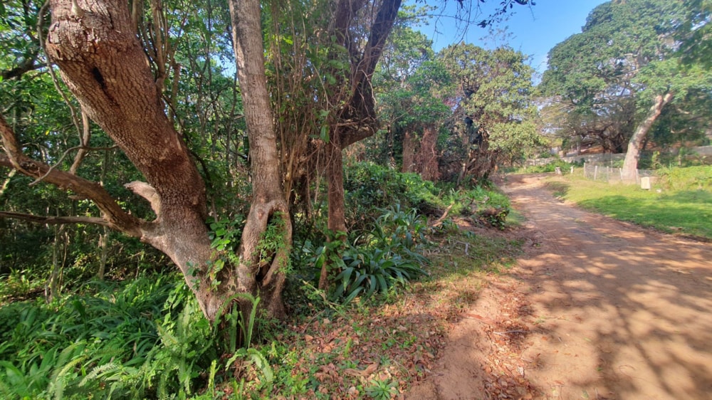 Residential vacant land for sale in Leisure Bay - 1PD1027093 Residential vacant land for sale in Leisure Bay - 1PD1027093