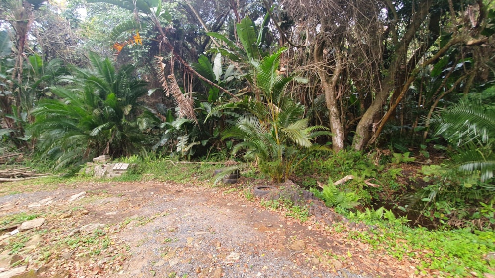 Residential vacant land for sale in Leisure Bay - 1PD1526536 Residential vacant land for sale in Leisure Bay - 1PD1526536