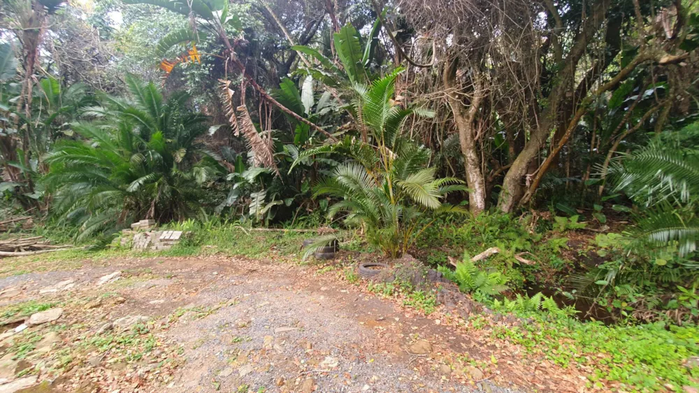 Residential vacant land for sale in Leisure Bay - 1PD1526536 Residential vacant land for sale in Leisure Bay - 1PD1526536
