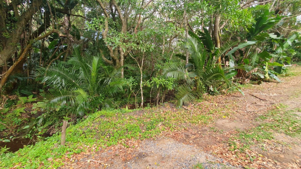 Residential vacant land for sale in Leisure Bay - 1PD1526536 Residential vacant land for sale in Leisure Bay - 1PD1526536