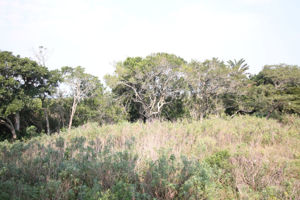 Residential vacant land for sale in Seafield, Kleinemonde - 1PF1673320