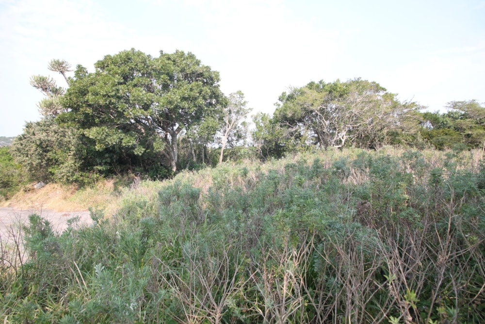 Residential vacant land for sale in Seafield, Kleinemonde - 1PF1673320