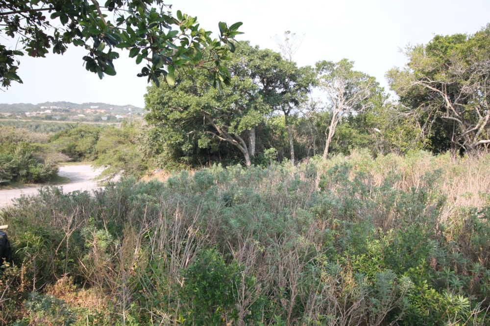 Residential vacant land for sale in Seafield, Kleinemonde - 1PF1673320