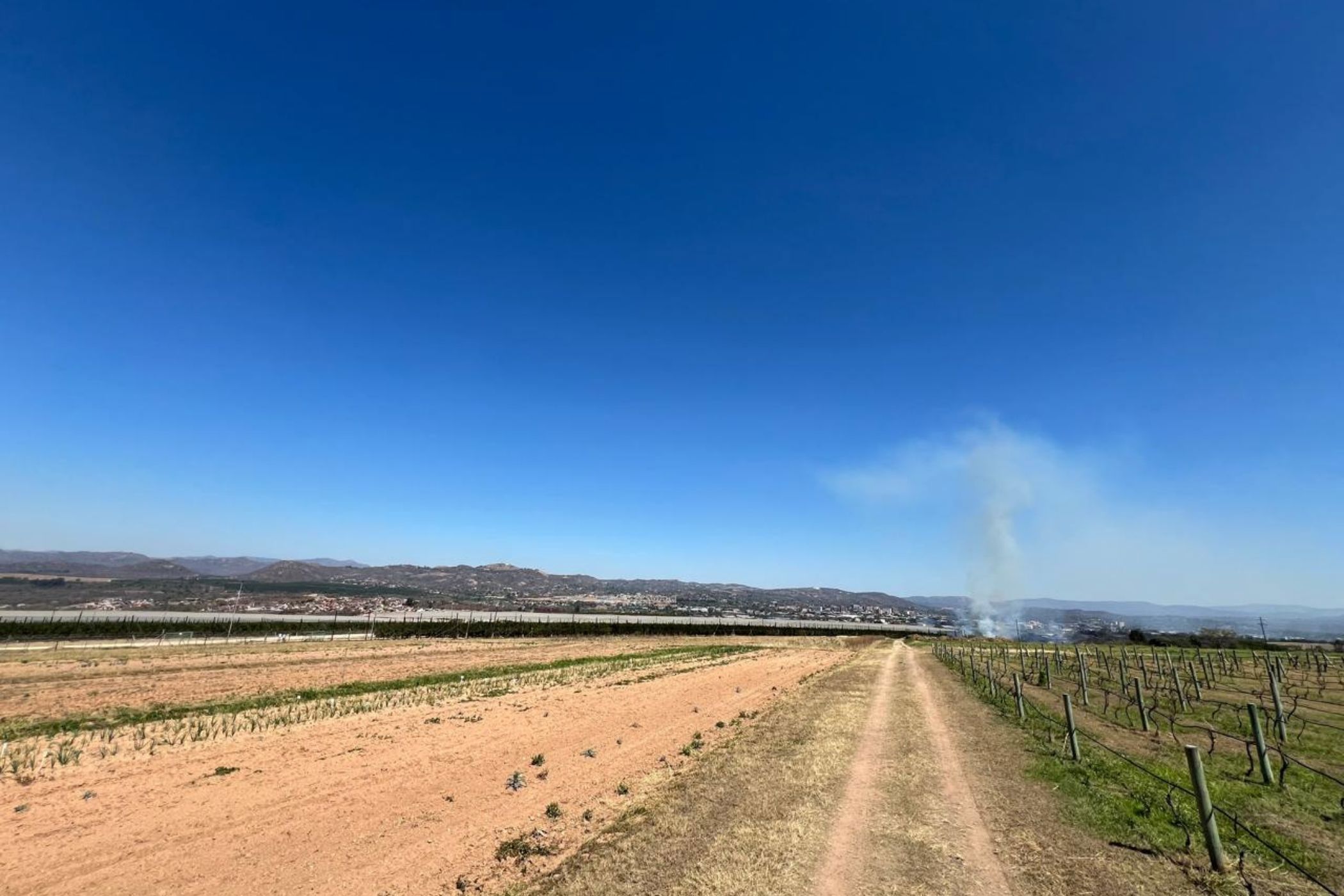 Farm vacant land for sale in Nelspruit (Mbombela) - 1NS1601976