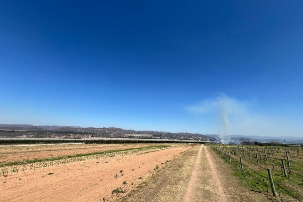 Farm vacant land for sale in Nelspruit (Mbombela) - 1NS1601976