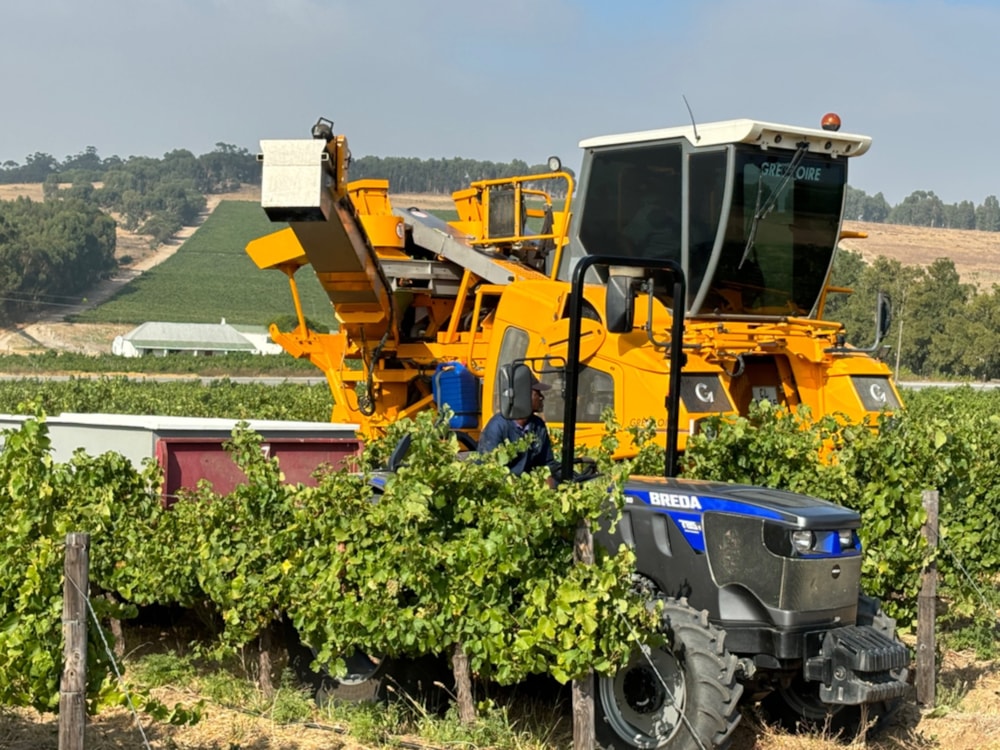 Wine farm sold in Stellenbosch Farms - ST1628031 Wine farm sold in Stellenbosch Farms - ST1628031