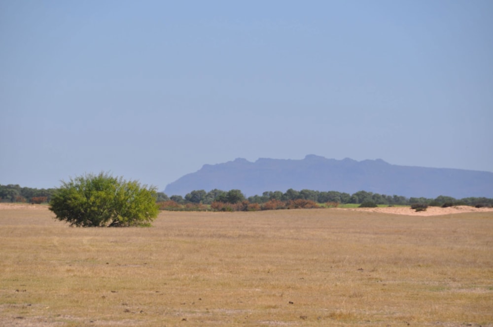 Mixed use farm for sale in Velddrif - LA1645663