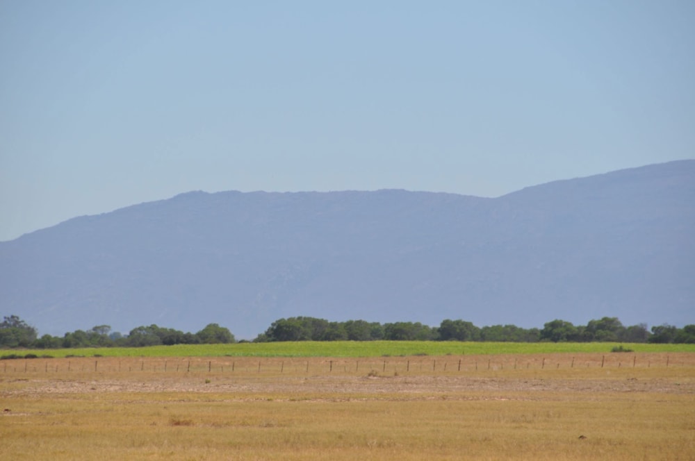 Mixed use farm for sale in Velddrif - LA1645663