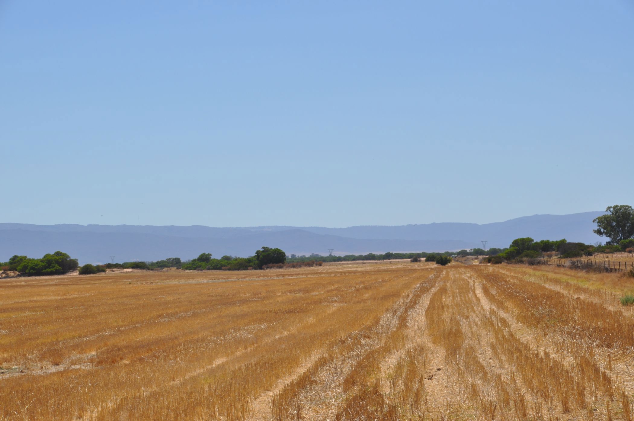 Mixed use farm for sale in Velddrif - LA1645663