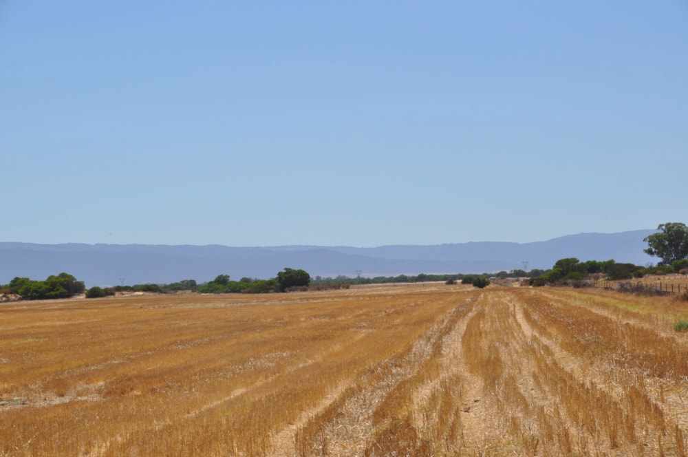 Mixed use farm for sale in Velddrif - LA1645663