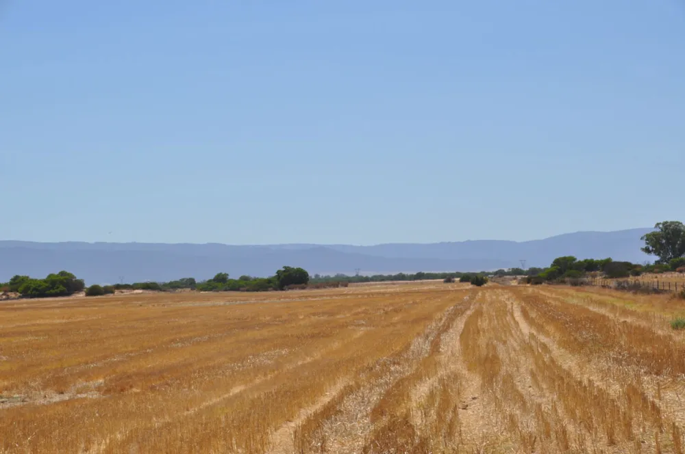 Mixed use farm for sale in Velddrif - LA1645663 Mixed use farm for sale in Velddrif - LA1645663