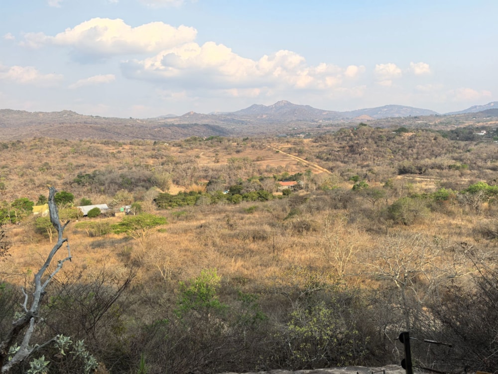 Smallholding for sale in Rhenosterkop - 1NS1675060