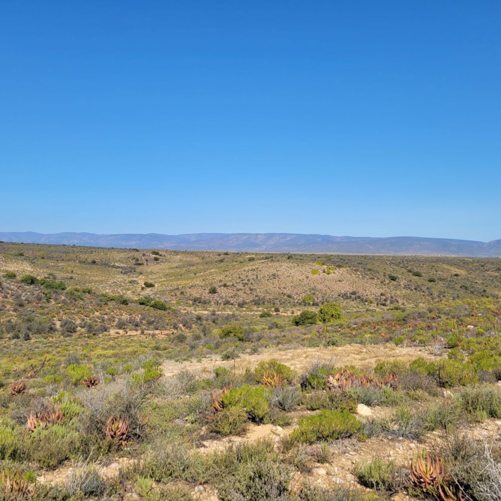 Farm vacant land sold in Calitzdorp - 1OU1673229