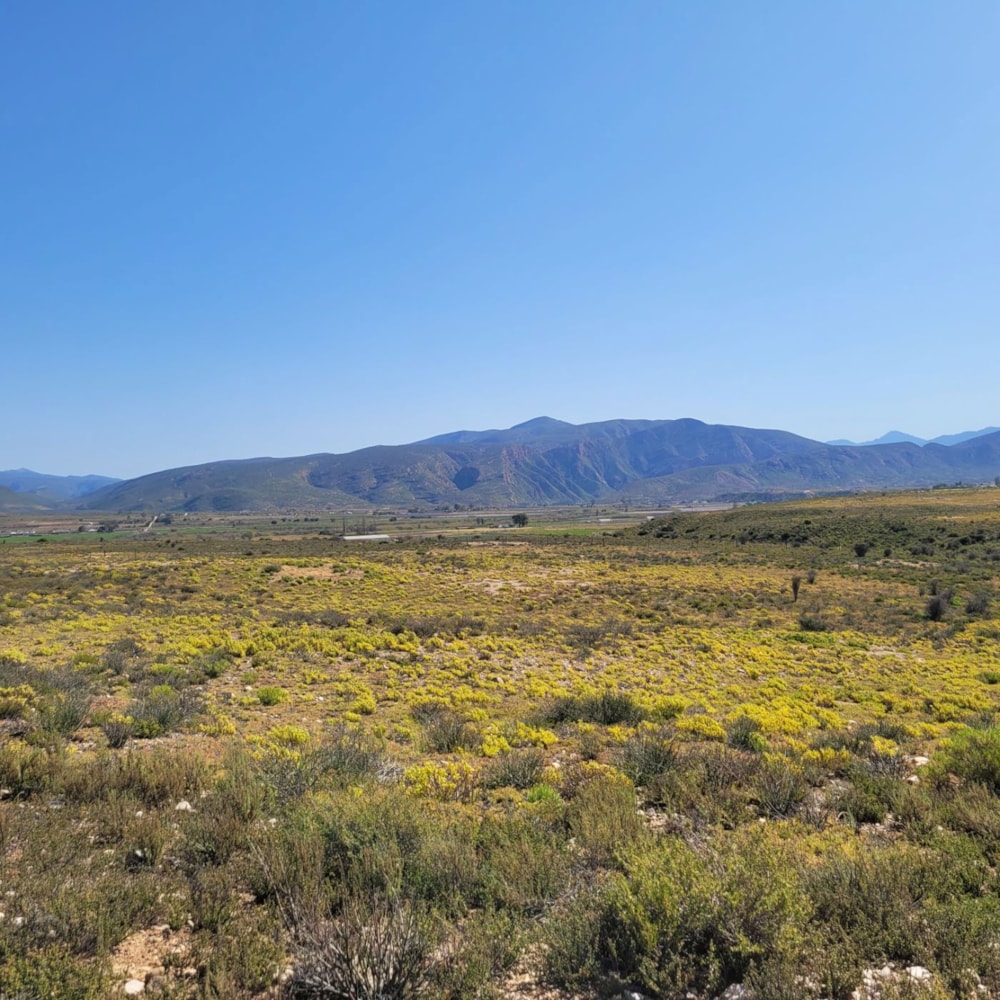 Farm vacant land sold in Calitzdorp - 1OU1673229
