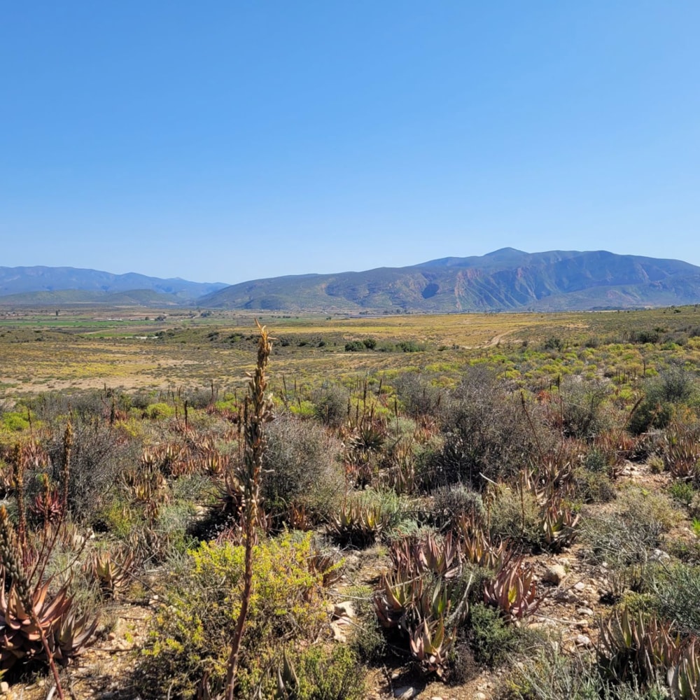 Farm vacant land sold in Calitzdorp - 1OU1673229