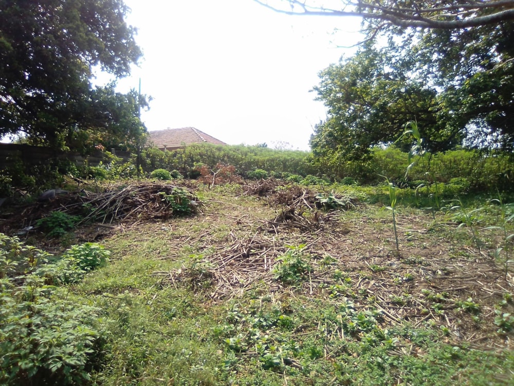 Residential vacant land for sale in Uvongo - 1PSH1737904