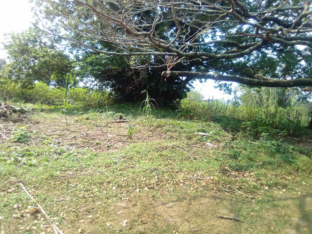 Residential vacant land for sale in Uvongo - 1PSH1737904 Residential vacant land for sale in Uvongo - 1PSH1737904