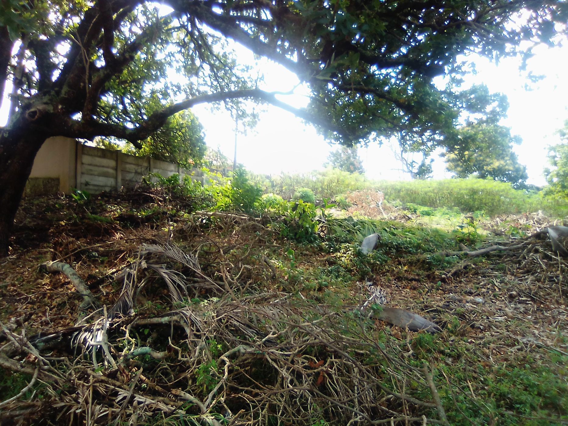 Residential vacant land for sale in Uvongo - 1PSH1737904
