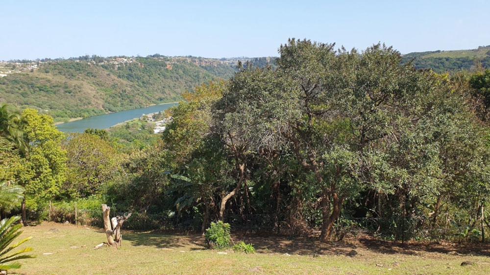 Apartment for sale in Banners Rest - 1PD1662055