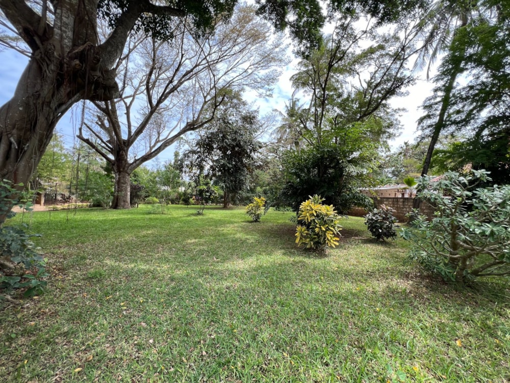 House to rent in Kilifi, Kenya - 3KE1675523 House to rent in Kilifi, Kenya - 3KE1675523