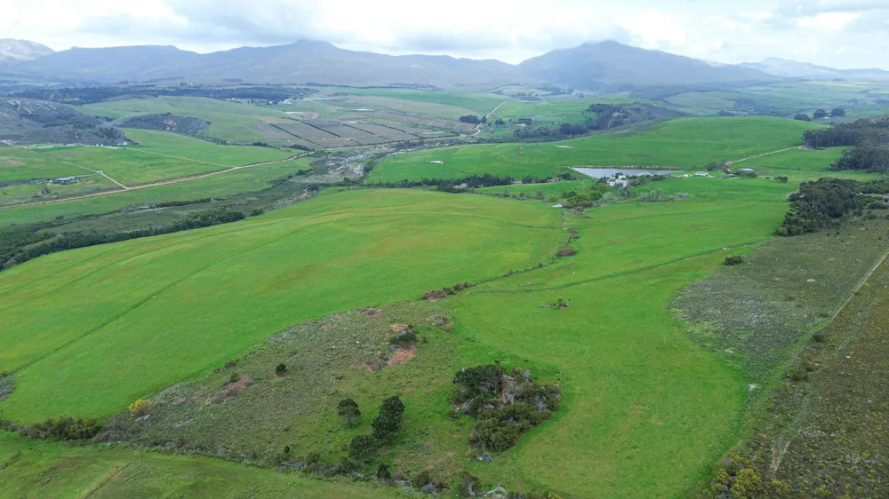 Mixed use farm sold in Hermanus Rural - HF1672076 Mixed use farm sold in Hermanus Rural - HF1672076