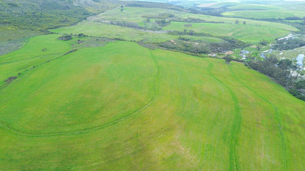 Mixed use farm for sale in Hermanus Rural - HF1672076 Mixed use farm for sale in Hermanus Rural - HF1672076