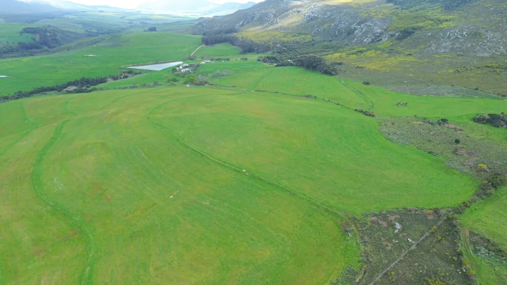 Mixed use farm sold in Hermanus Rural - HF1672076 Mixed use farm sold in Hermanus Rural - HF1672076