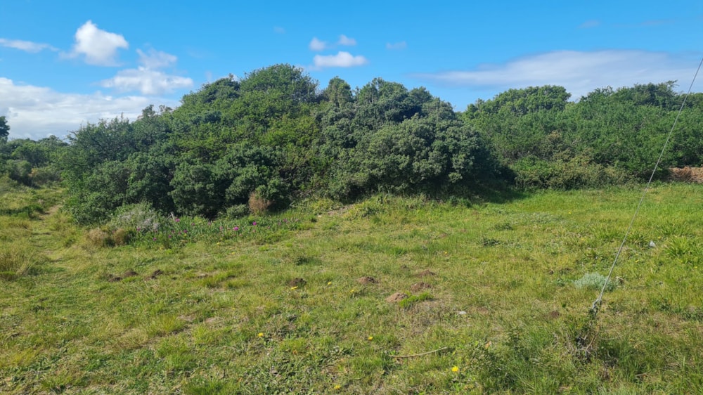 Farm vacant land for sale in Aston Bay - 1JF1672937 Farm vacant land for sale in Aston Bay - 1JF1672937