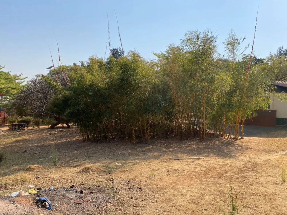 Vacant land for sale in Roma, Zambia - 3ZA1671919