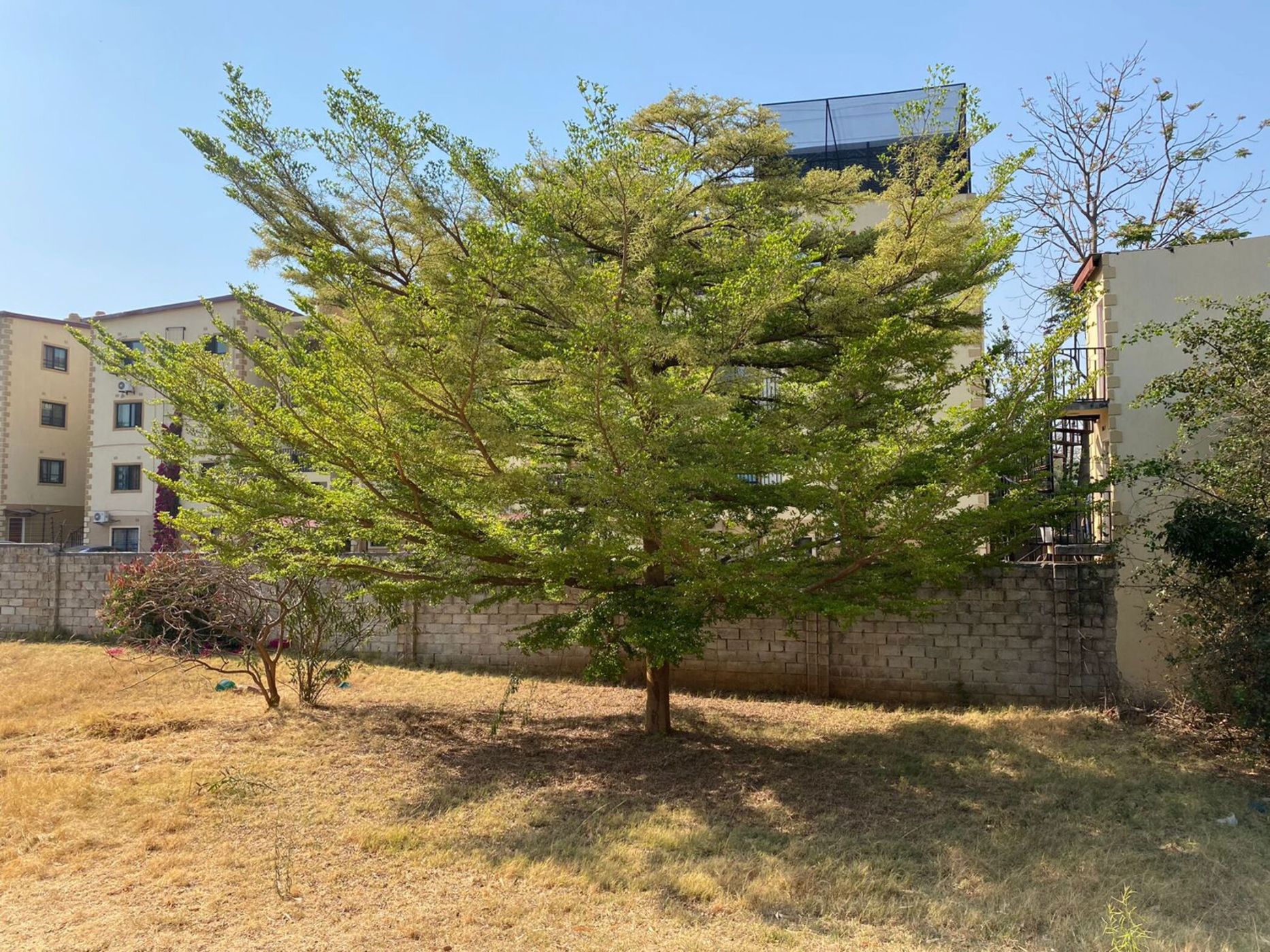 Vacant land for sale in Roma, Zambia - 3ZA1671919