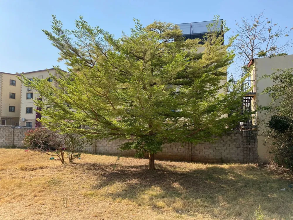 Vacant land for sale in Roma, Zambia - 3ZA1671919