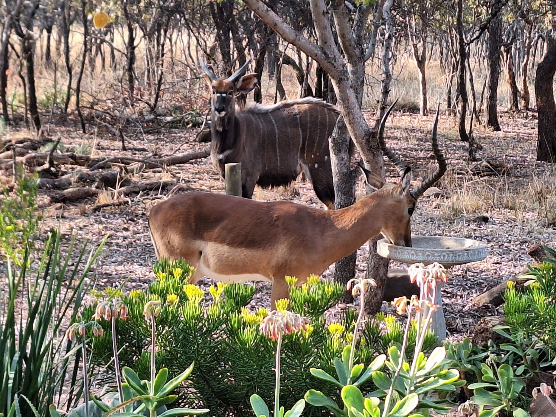 Vacant land for sale in Koro Creek Golf Estate - 1MDM1672173