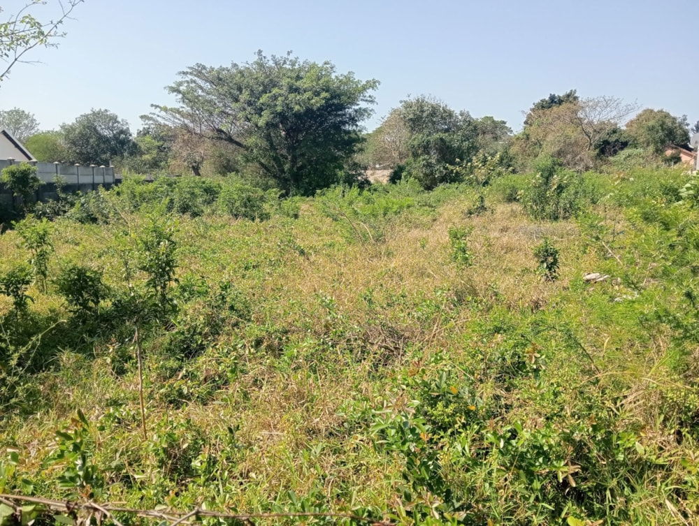 Residential vacant land for sale in Birdswood - 1RY1672312